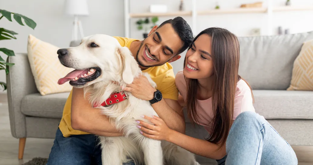 Pet Friendly Apartments in Dubai